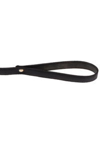 collare-con-guinzaglio-statement-collar-and-leash