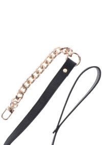 collare-con-guinzaglio-statement-collar-and-leash