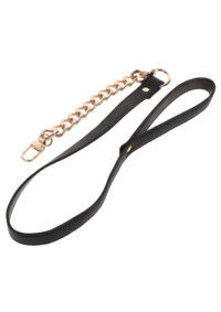 collare-con-guinzaglio-statement-collar-and-leash