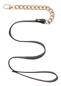 collare-con-guinzaglio-statement-collar-and-leash